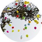 A variety of colorful balloons float upwards against a clear sky, framed by the branches of a tree.