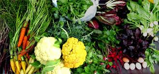 A variety of fresh vegetables and herbs, including carrots, cauliflower, greens, radishes, and eggs, are arranged on a surface.