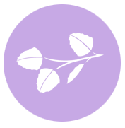 A white silhouette of three leaves with stems on a lavender background.